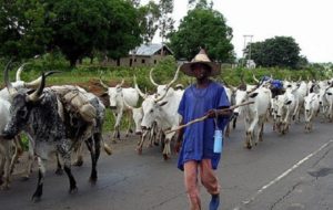 Fight-Between-Fulani-Herdsmen-And-Farmers